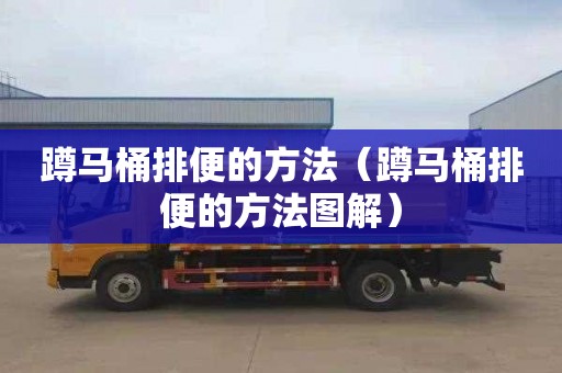 蹲马桶排便的方法（蹲马桶排便的方法图解）