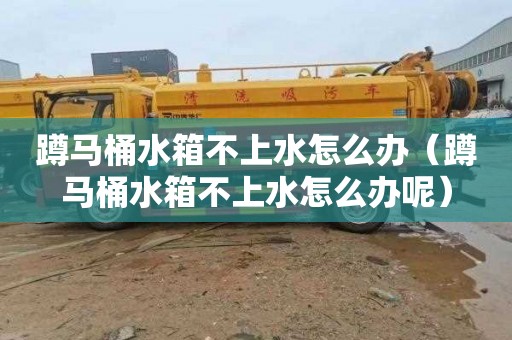 蹲马桶水箱不上水怎么办（蹲马桶水箱不上水怎么办呢）