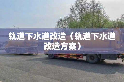轨道下水道改造（轨道下水道改造方案）