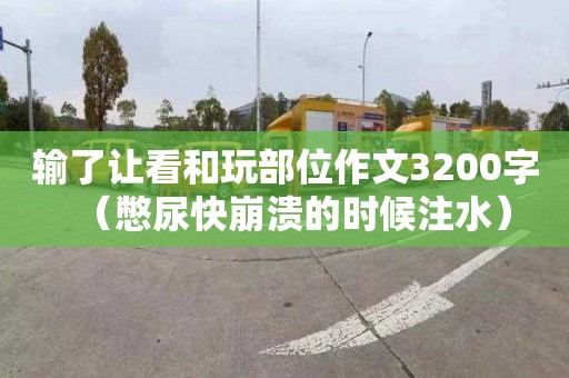 输了让看和玩部位作文3200字（憋尿快崩溃的时候注水）