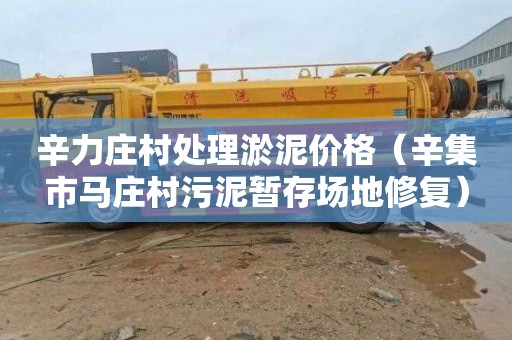 辛力庄村处理淤泥价格（辛集市马庄村污泥暂存场地修复）