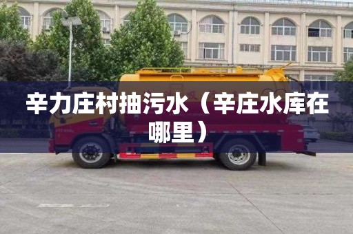 辛力庄村抽污水（辛庄水库在哪里）
