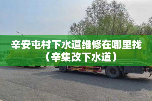辛安屯村下水道维修在哪里找（辛集改下水道）