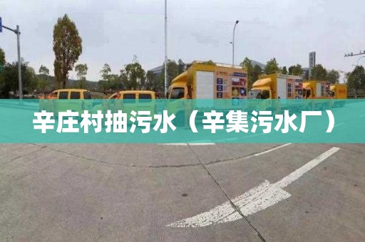 辛庄村抽污水（辛集污水厂）