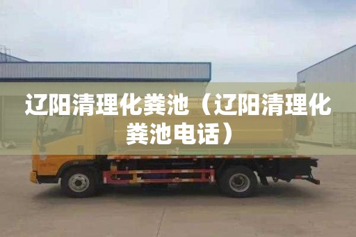 辽阳清理化粪池（辽阳清理化粪池电话）