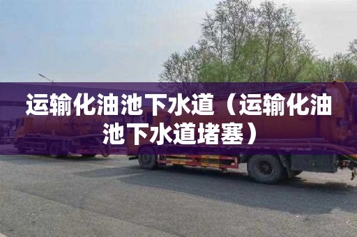 运输化油池下水道（运输化油池下水道堵塞）