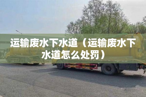 运输废水下水道（运输废水下水道怎么处罚）