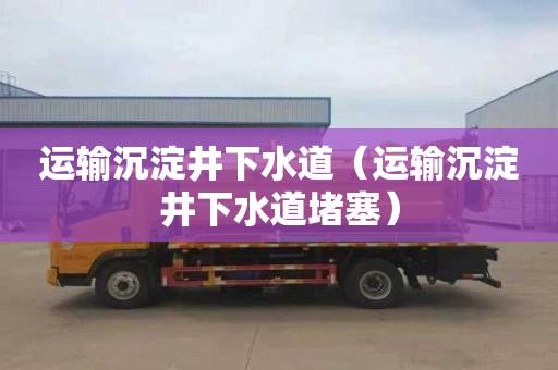 运输沉淀井下水道（运输沉淀井下水道堵塞）