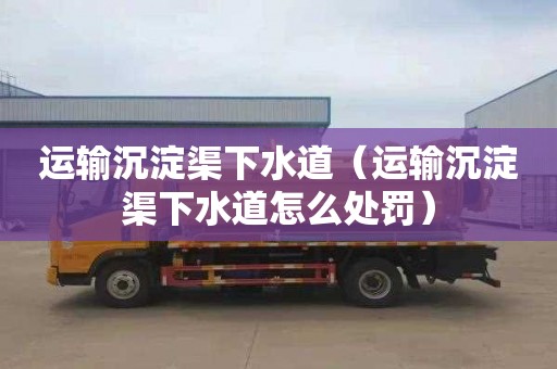 运输沉淀渠下水道（运输沉淀渠下水道怎么处罚）