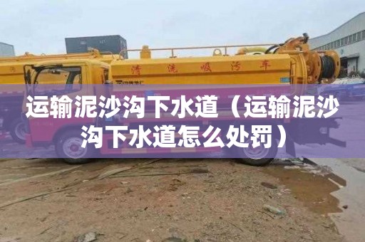 运输泥沙沟下水道（运输泥沙沟下水道怎么处罚）