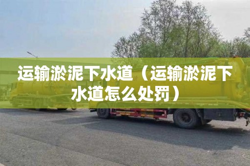 运输淤泥下水道（运输淤泥下水道怎么处罚）