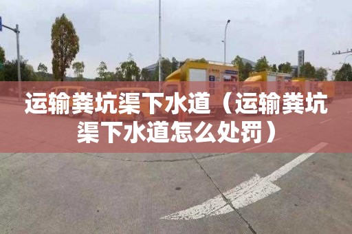运输粪坑渠下水道（运输粪坑渠下水道怎么处罚）