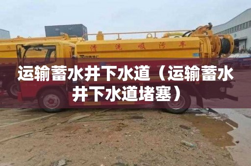 运输蓄水井下水道（运输蓄水井下水道堵塞）