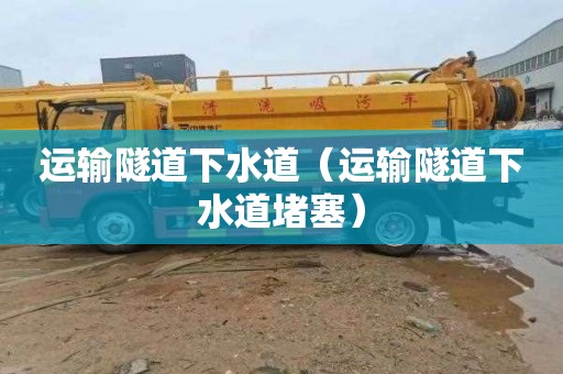 运输隧道下水道（运输隧道下水道堵塞）