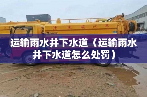 运输雨水井下水道（运输雨水井下水道怎么处罚）