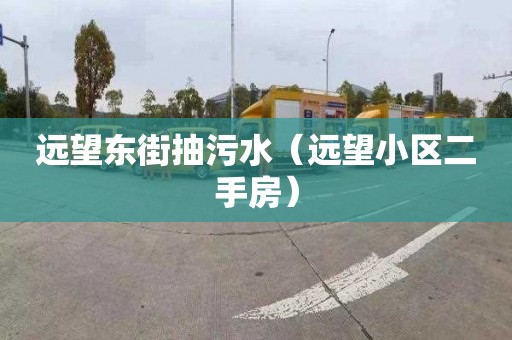 远望东街抽污水（远望小区二手房）