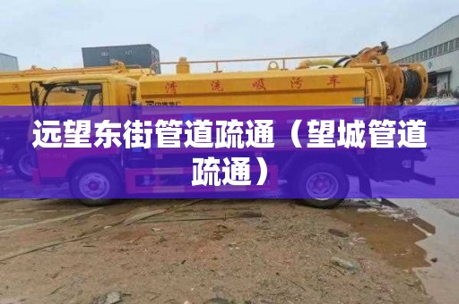 远望东街管道疏通（望城管道疏通）