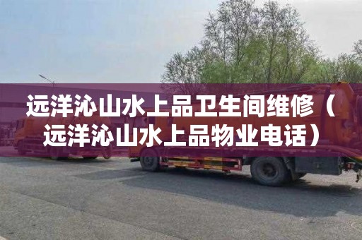 远洋沁山水上品卫生间维修（远洋沁山水上品物业电话）