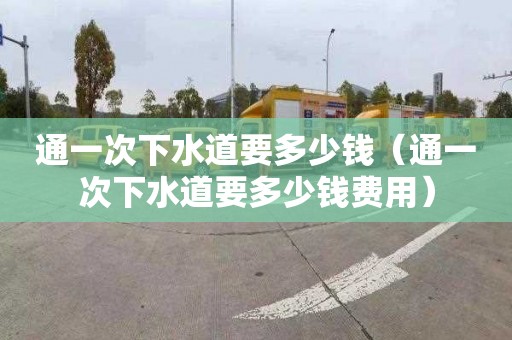 通一次下水道要多少钱（通一次下水道要多少钱费用）