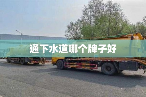 通下水道哪个牌子好
