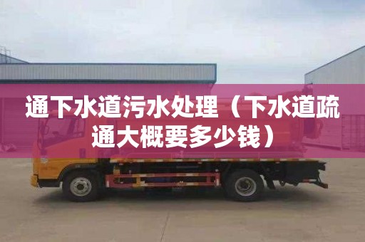 通下水道污水处理（下水道疏通大概要多少钱）