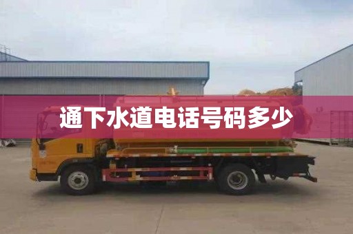 通下水道电话号码多少