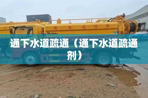 通下水道疏通（通下水道疏通剂）