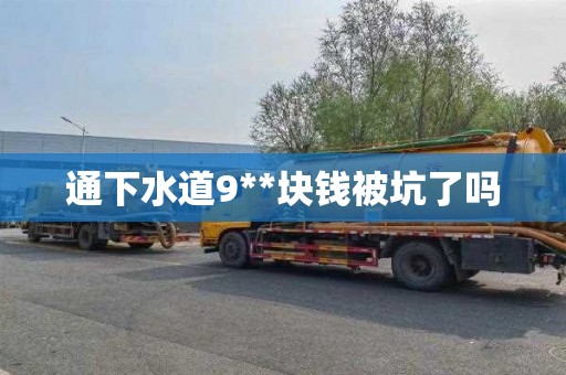 通下水道9**块钱被坑了吗