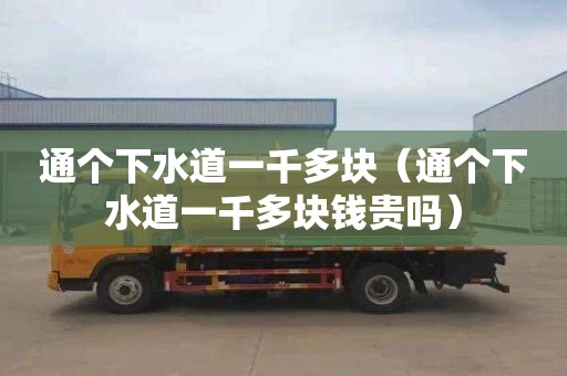 通个下水道一千多块（通个下水道一千多块钱贵吗）