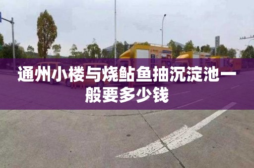 通州小楼与烧鲇鱼抽沉淀池一般要多少钱