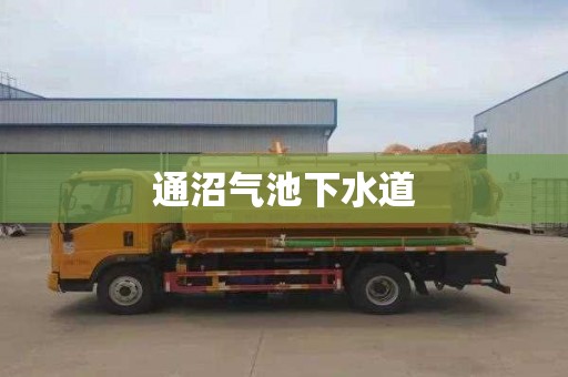 通沼气池下水道