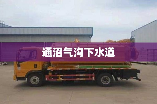 通沼气沟下水道