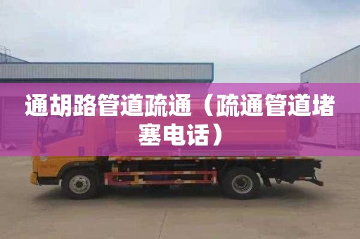 通胡路管道疏通（疏通管道堵塞电话）