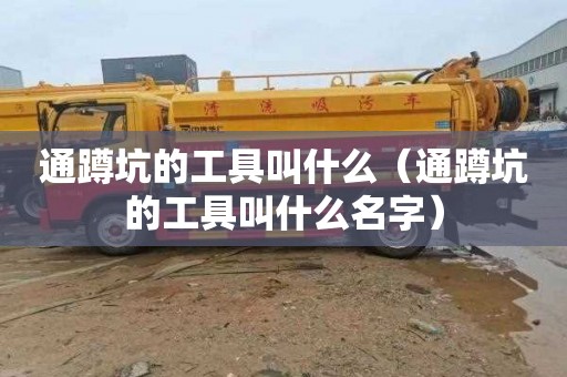 通蹲坑的工具叫什么（通蹲坑的工具叫什么名字）