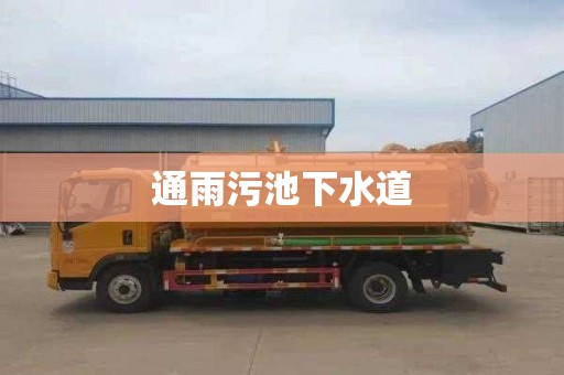 通雨污池下水道