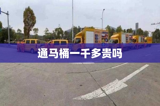 通马桶一千多贵吗