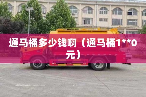 通马桶多少钱啊（通马桶1**0元）