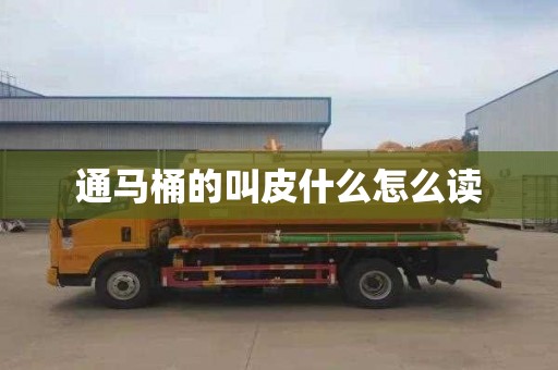 通马桶的叫皮什么怎么读