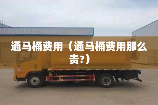 通马桶费用（通马桶费用那么贵?）