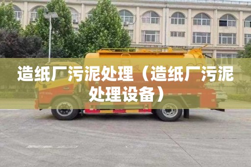 造纸厂污泥处理（造纸厂污泥处理设备）
