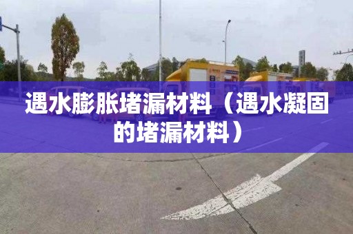 遇水膨胀堵漏材料（遇水凝固的堵漏材料）