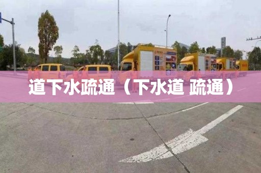 道下水疏通（下水道 疏通）