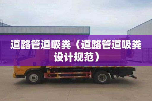 道路管道吸粪（道路管道吸粪设计规范）