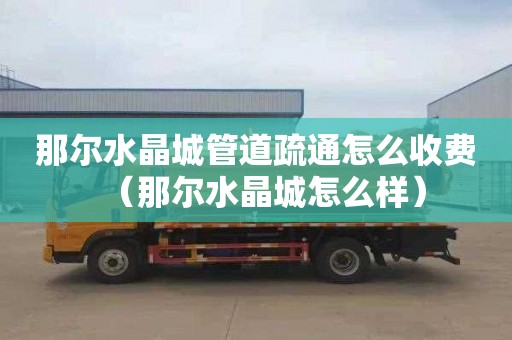 那尔水晶城管道疏通怎么收费（那尔水晶城怎么样）