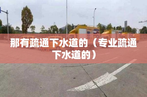 那有疏通下水道的（专业疏通下水道的）