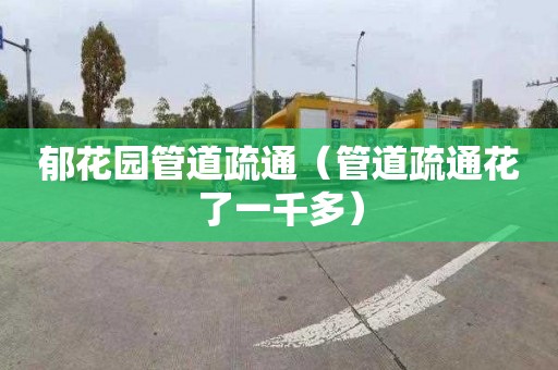 郁花园管道疏通（管道疏通花了一千多）