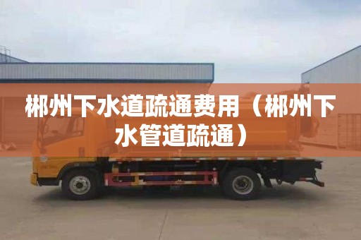 郴州下水道疏通费用（郴州下水管道疏通）