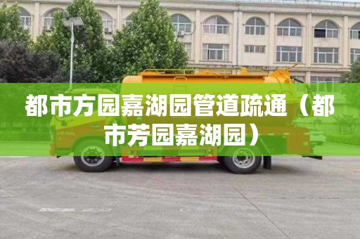 都市方园嘉湖园管道疏通（都市芳园嘉湖园）