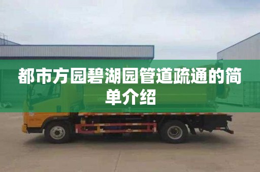 都市方园碧湖园管道疏通的简单介绍