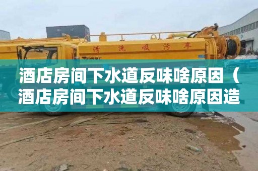 酒店房间下水道反味啥原因（酒店房间下水道反味啥原因造成的）